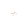 Paloma Earrings